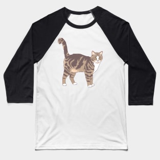 Brown and White Tabby Cat Baseball T-Shirt